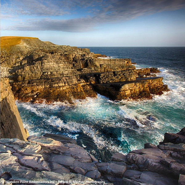 Dải vách đá Mistaken Point dài 16km nằm trên mũi đất đông nam của đảo Newfoundland bên bờ biển Canada có niên đại 500 triệu năm chứa bộ sưu tập hóa thạch lâu đời nhất thế giới