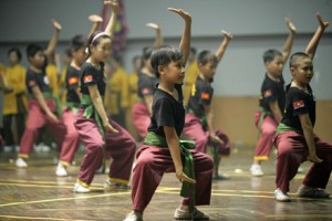 98 đoàn dự Hội diễn võ thuật cổ truyền Hà Nội mở rộng lần thứ 32
