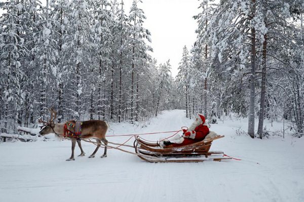 Ông già Noel cưỡi xe tuần lộc trong lễ Giáng sinh ở gần Thành phố Rovaniemi, Phần Lan ngày 15/12