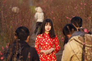 Thiếu nữ trong vườn đào Hà Nội – khoảnh khắc ấn tượng Việt Nam trên Reuters
