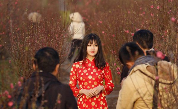 Khoảnh khắc ấn tượng tại Việt Nam được Reuters lựa chọn là bức ảnh một thiếu nữ mặc bộ áo dài truyền thống tạo dáng chụp hình bên hoa đào nở rộ trong một vườn hoa ở Hà Nội ngày trước Tết Nguyên Đán Bính Thân 2016 (ngày 7/2/2016).