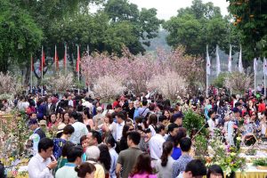 Giao lưu văn hóa Nhật Bản và Triển lãm hoa Anh đào tại Hà Nội năm 2017