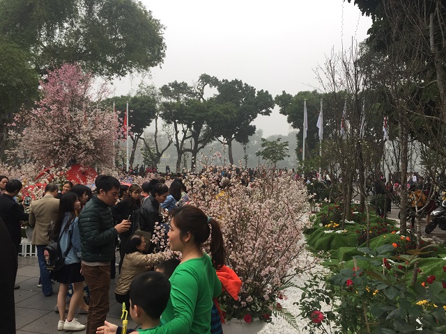 Mặc dù trời mưa vào 2 ngày cuối tuần, nhưng lượng du khách đến tham quan, thưởng lãm hoa Anh đào vẫn rất đông
