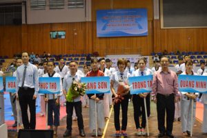 Khai mạc giải Taekwondo các lứa tuổi trẻ Hà Nội mở rộng năm 2017