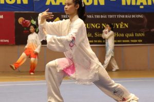 Khai mạc Giải vô địch Wushu toàn quốc năm 2017