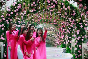 Lễ hội Hoa hồng Bulgaria & Bạn bè 2018 sắp diễn ra tại Hà Nội
