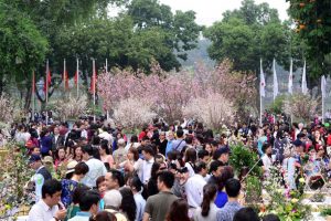 Sẽ không có hoạt động thương mại tại Lễ hội Giao lưu văn hóa Nhật Bản