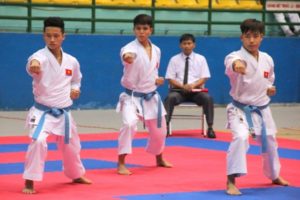 Khai mạc Giải Vô địch trẻ Karatedo toàn quốc 2018