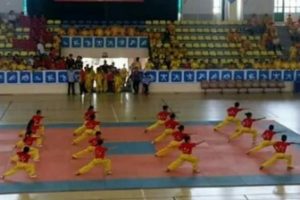 Sôi nổi giải Aerobic – Wushu thiếu niên, nhi đồng huyện Thanh Trì hè 2018