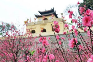 Nhiều hoạt động văn hóa truyền thống hấp dẫn mừng Xuân Kỷ Hợi tại Hoàng thành Thăng Long
