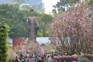 Nhiều hoạt động mới trong Lễ hội hoa Anh đào Nhật Bản- Hà Nội 2019