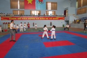 Giải Karatedo mở rộng lần thứ nhất I huyện Ba Vì năm 2019