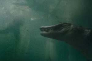 Những bộ phim về hiểm họa cá sấu đáng xem nhất