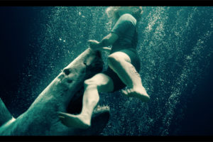 ‘Hung thần đại dương’ trở lại, đáng sợ hơn cả ‘Cá mập siêu bạo chúa’
