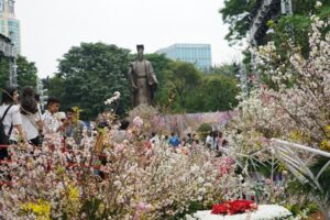 Lễ hội hoa anh đào Nhật Bản – Hà Nội 2020 diễn ra cuối tháng 3/2020