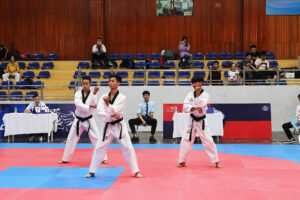 Sôi nổi giải Taekwondo Hội khỏe Phù Đổng lần thứ X – TP Hà Nội