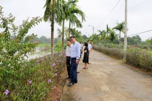 Thị xã Sơn Tây kiểm tra, chấm điểm cuộc thi “Giữ gìn đường, phố xanh, sạch, đẹp” năm 2020