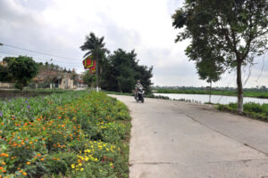 Phụ nữ huyện Ứng Hòa duy trì 205 tuyến đường nở hoa