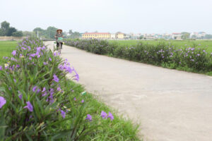 Huyện Thường Tín: Hiệu quả từ phong trào “Ngày thứ Bảy xanh”