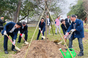 Hà Nội tiếp nhận, trồng 110 cây hoa Anh đào tại Công viên Hòa Bình 