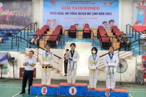 Giải Taekwondo thiếu niên, nhi đồng hè huyện Mê Linh năm 2023