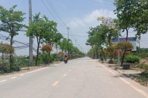 Huyện Thanh Trì đạt giải Ba Cuộc thi “Đoạn đường/tuyến phố nở hoa” cụm thi đua số 3