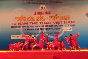 Khai mạc Tuần Văn hóa – Thể thao Việt Nam