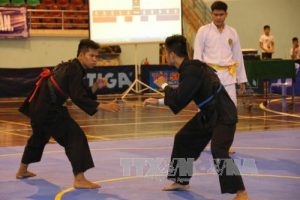 258 VĐV tranh tài tại Giải vô địch Pencak Silat toàn quốc năm 2017