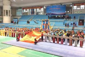 Hơn 300 VĐV tranh tài tại Giải Vô địch cúp Wushu quốc gia năm 2017