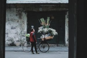 Mùa Đông Hà Nội: Chưa bao giờ hết gây thương nhớ