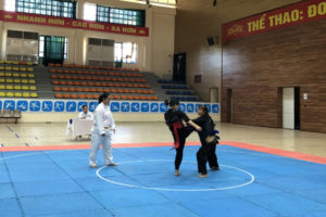 Hơn 200 VĐV tham dự Giải Pencak Silat hè Tp Hà Nội năm 2018