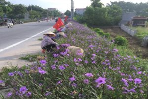 Xã Võng Xuyên xây dựng nhiều tuyến đường nở hoa