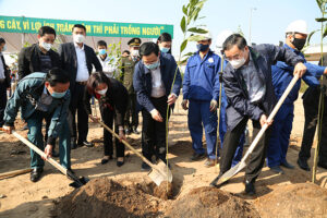 Năm 2021, Thành phố Hà Nội phấn đấu trồng hơn 300 nghìn cây xanh
