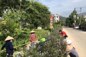 Phụ nữ huyện Sóc Sơn chung tay làm đẹp môi trường
