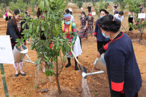  Ngày hội “Sắc Xuân trên mọi miền Tổ quốc” tại Làng Văn hóa – Du lịch các dân tộc Việt Nam