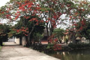 Huyện Ứng Hòa: Hiệu quả từ mô hình ”Khu dân cư an toàn, sáng, xanh, sạch, đẹp”