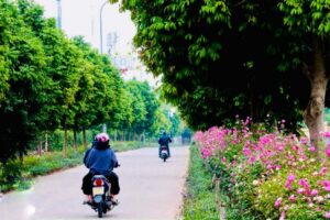 Huyện Thanh Trì tích cực giữ gìn ngõ phố xanh, sạch – trang hoàng đường phố đẹp
