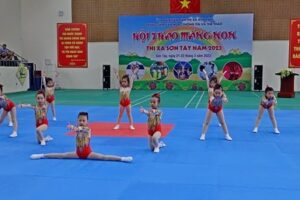 Thị xã Sơn Tây: Trên 300 vận động viên tham dự Hội thao măng non
