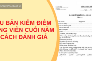 Kiểm điểm, đánh giá, xếp loại chất lượng hằng năm đối với tổ chức Đảng, đảng viên