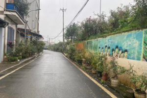 Xã Yên Sở, huyện Hoài Đức ra mắt mô hình tuyến đường do chi hội nông dân tự quản vệ sinh môi trường