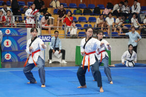 Khai mạc Giải thi đấu các môn thể thao hè thành phố Hà Nội