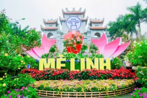 Nhiều hoạt động văn hoá đặc sắc được tổ chức tại Festival Hoa Mê Linh lần thứ 2, năm 2024 