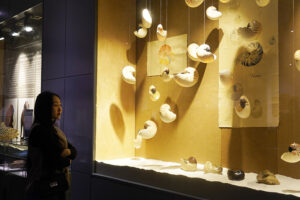 Tổ chức đào tạo, bồi dưỡng kiến thức chuyên môn cho các bảo tàng, ban quản lý di tích