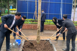 Gieo mầm xanh đầu xuân – Phường Yên Hòa lan tỏa tinh thần “Tết trồng cây đời đời nhớ ơn Bác Hồ”