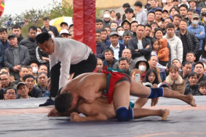 Xã Dương Hoà tổ chức Giải Vật dân tộc truyền thống mở rộng Xuân Bính Ngọ 2026