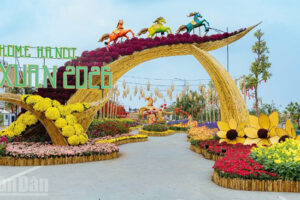Đường hoa Home Hanoi Xuân 2026 – Điểm du xuân độc đáo của Thủ đô
