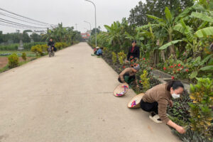 Phụ nữ Phúc Lộc ra quân chăm sóc tuyến đường hoa, chung tay hướng tới ngày hội bầu cử