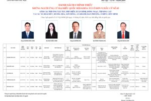 Những người ứng cử Đại biểu Quốc hội khóa XVI ở Đơn vị bầu cử số 5