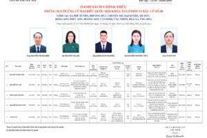 Những người ứng cử Đại biểu Quốc hội khóa XVI ở Đơn vị bầu cử số 8