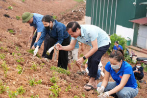 Xã Sơn Đồng triển khai xây dựng tuyến đê “Xanh – Sạch – Đẹp – Nở hoa” năm 2026